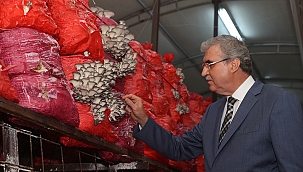 Başkan Yüce; “İstiridye mantarı üretimi hızla devam ediyor”