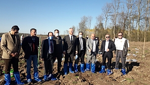 Bugün Fidan, Yarın Nefes. Geleceğe Nefes, Dünya’ya Nefes