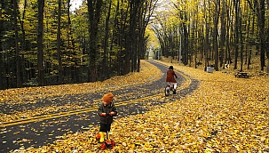 İl Ormanı’nda sonbahar bir başka
