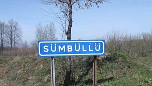 Sümbüllü Mahallesinde Zincirleme Kaza! 8 Yaralı Var!