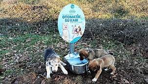 Büyükşehir can dostların hep yanında