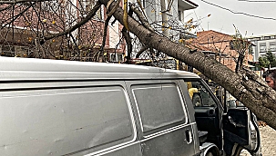 Büyükşehir lodosun vurduğu noktalara süratle ulaştı: “Zor olan her an yanınızdayız”