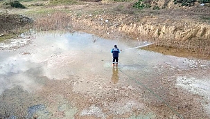 Büyükşehir vektörlerle mücadeleyi yıl boyu sürdürüyor