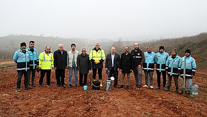 Botanik Vadide yaklaşık 2 buçuk milyon fide toprakla buluştu