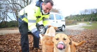 Büyükşehir Yılın En Soğuk Günlerinde Onlar İçin Sahada