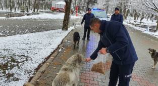 CAN DOSTLARIMIZI UNUTMUYORUZ