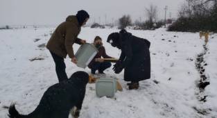 SEVGİ VE MERHAMET TİMLERİ HAYVANLARI UNUTMADI!