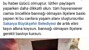 Sosyal medyada o algıya tokat gibi cevap!