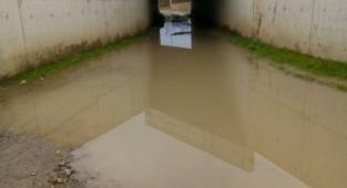 Çakallık mahallesinde yaşayan vatandaşın yol feryadı...