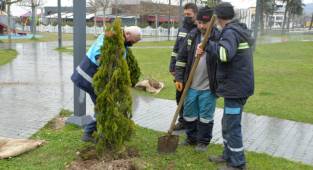 HENDEK BELEDİYESİ YEŞİLLENDİRMEYE DEVAM EDİYOR