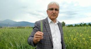 Başkan Ergül: “Tarım olmazsa olmazımızdır” 