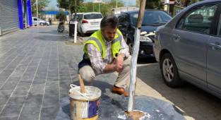 HENDEK BELEDİYESİNDEN AĞAÇ UYARISI