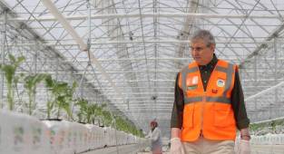 Seracılık Mükemmeliyet Merkezi’nde 65 Bin Kök Domates Fidesi Dikildi