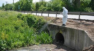 LARVA MÜCADELESİ BAŞLADI