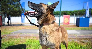 Onların Görevi Hayat Kurtarmak: Büyükşehir Parkurunda Zorlu Sınav