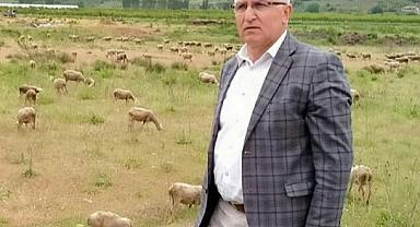 BAŞKAN ERGÜL'DEN TARIM VE HAYVANCILIK AÇIKLAMASI...