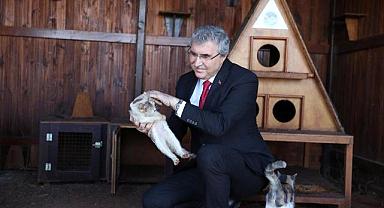 Patili dostlar için her şey düşünüldü