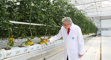 Seracılık Mükemmeliyet Merkezi’nde İlk Hasat Yakında Yapılacak