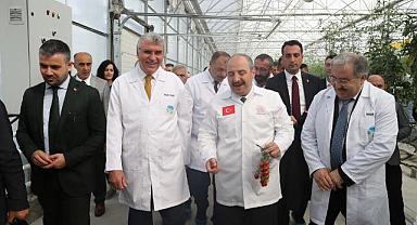 Bakan Varank'tan Başkan Yüce'ye tam not...