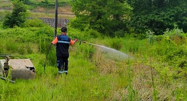 Büyükşehir'den sinek ve böcek istilasına müdahale