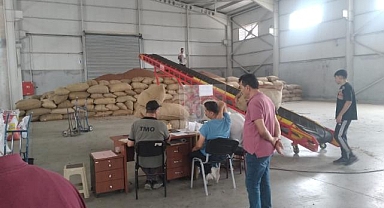 TMO Fındık Alım Merkezinde işler neden ağır gidiyor?