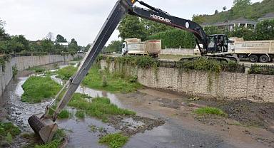 Uludere'de kapsamlı temizlik başladı.