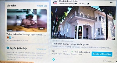 Attığımız taş, medya kurbağalarını ürkütmüş!