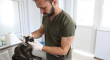 Cumhurbaşkanı Erdoğan açılışını yaptı...