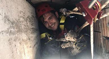 İtfaiye erleri yavru kediyi sağ salim kurtardı