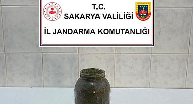 Hendek'te esrar operasyonu!