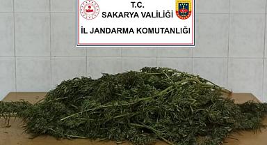 JANDARMADAN UYUŞTURUCUYA GEÇİT YOK!