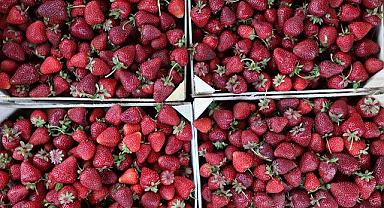 Bereketli toprakları en verimli şekilde kullanacağız...