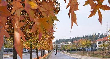 Büyükşehir’in Dokunduğu Yollarda Sonbahar Esintisi