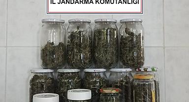 Hendek'te esrar operasyonu!