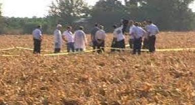 Mısır tarlasında cansız bedeni bulundu!