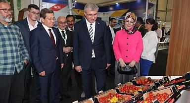 Sakarya’nın avantajlarını anlatmaya devam ediyoruz