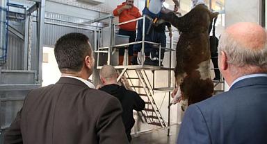 İlk hayvan kesimi yapıldı
