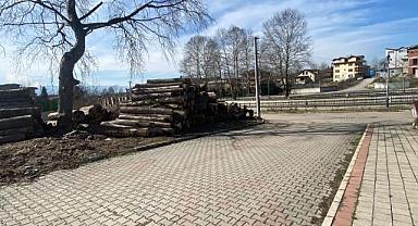 Köprübaşı Mahallesinde Tomruk Krizi!