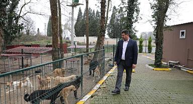 Belediye Başkanı Bilal Soykan; yaratılanı seviyoruz yaratandan ötürü.