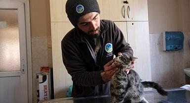 Büyükşehir Veteriner Ekibi Antakya'da can dostlarının yaralarını sarıyor