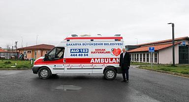 Sokak hayvanları ambulansı yakında hizmete başlayacak