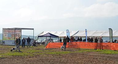 13. FERMALI AV KÖPEKLERİ MERA VE GÜZELLİK YARIŞMASI BAŞLIYOR