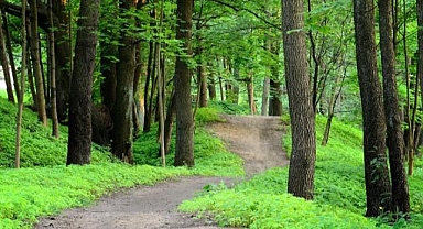 Havalar ısınınca en çok sorulan sorular?