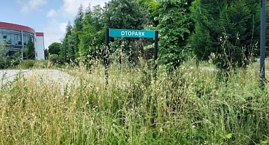 Hendek sahipsiz mi? Hastanede neler oluyor?