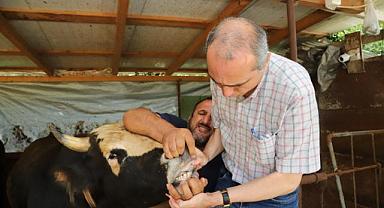 HENDEK’TE KESİMHANELER DENETLENDİ