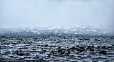 Sapanca Gölü'nde yıllar sonra bir ilk: 