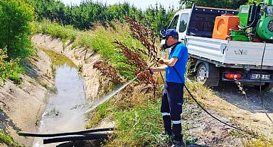 Büyükşehir 16 İlçenin Tamamında Vektörlerle Mücadele Ediyor