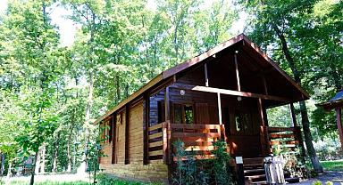 Büyükşehir'in Orman Evleri Türkiye'yi Hayran Bıraktı