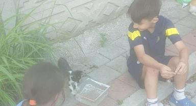 Minik yüreklerden, kocaman iş!