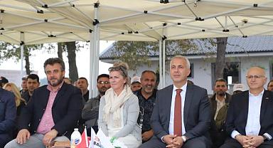 KAZİMİYE MAHALLESİ’NDE FINDIK BUDAMA YARIŞMASI